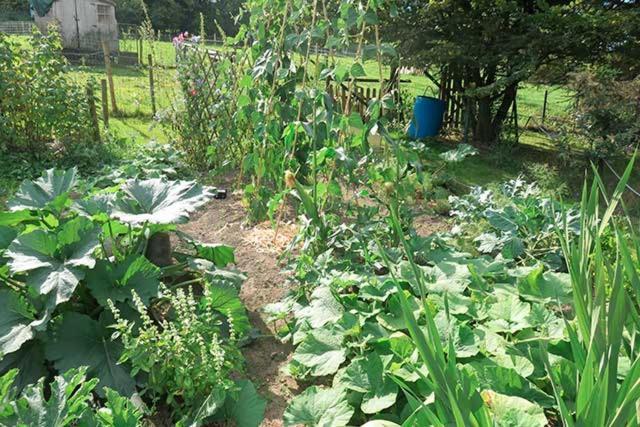 B&B Ferme Du Petit Breuil Verviers Kültér fotó
